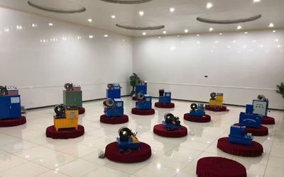 China Shanghai Fanying Machinery Technology Co., Ltd. Profiel van het bedrijf